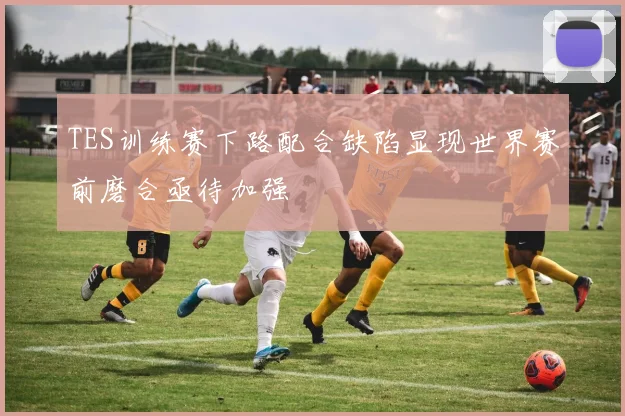 TES训练赛下路配合缺陷显现世界赛前磨合亟待加强