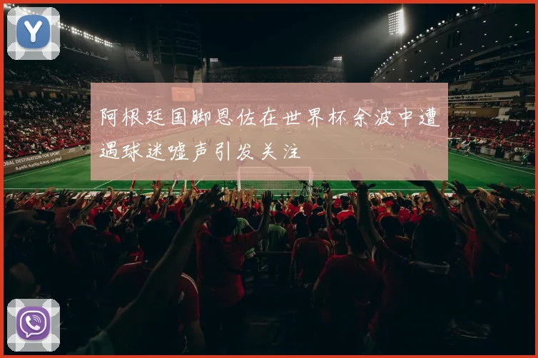 阿根廷国脚恩佐在世界杯余波中遭遇球迷嘘声引发关注